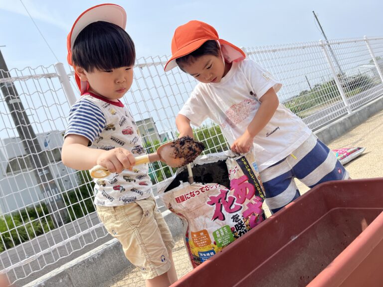 3歳　ゆき組　ひまわりの種をまきました！🌱