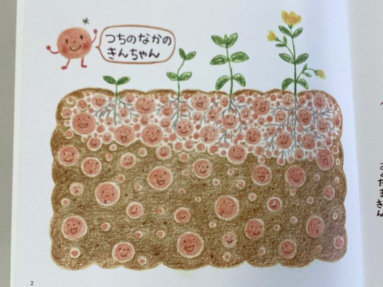 はじめまして『菌ちゃん』✨