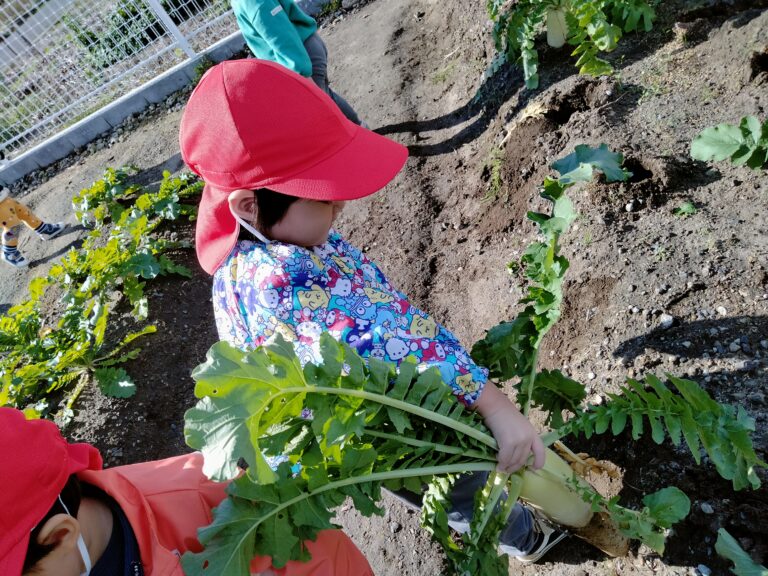 よいしょ、よいしょ！うみぐみ(１歳児)