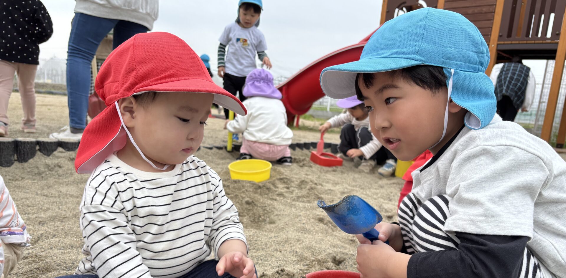 園の紹介