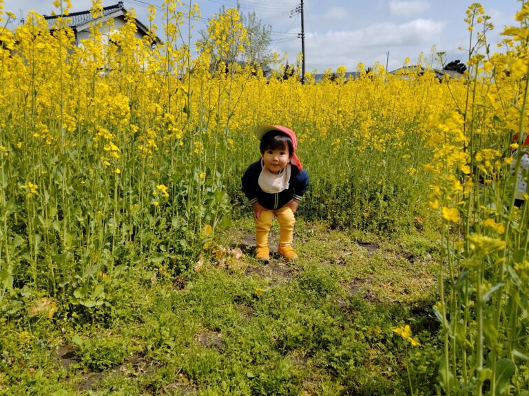 えだまめこども園が大切にしていること