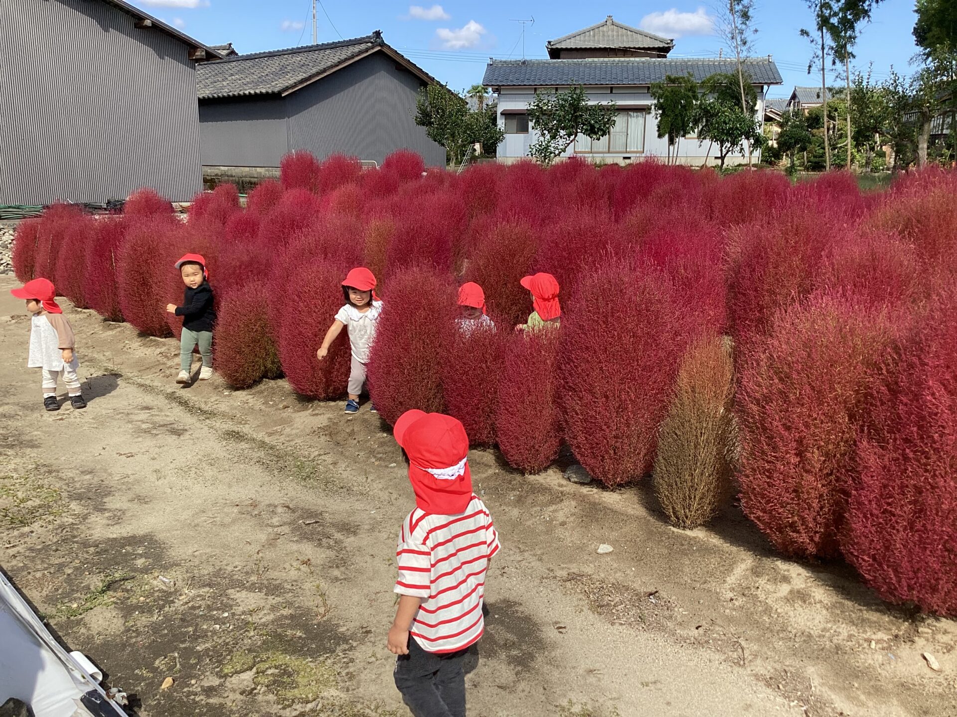 ワクワク💖ドキドキ にじぐみ(2歳児)