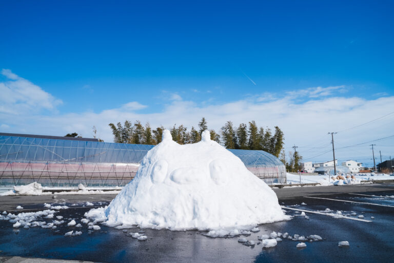 えだまめ・ゆきまつり⛄